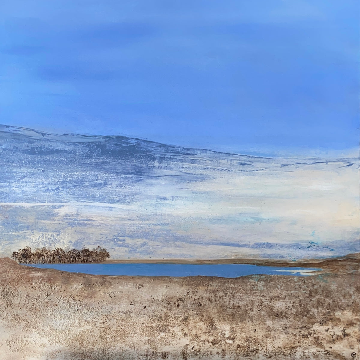 Terre de silence — œuvre originale